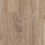 Everest Oak Beige D3081 Mammut 12mm Laminate Flooring by Kronotex
