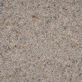 Exmoor Barley Natural Berber Twist Deluxe 55oz Carpet by Cormar