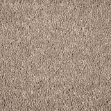 Fawn Maverick Saxony Carpet