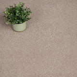 Fawn Regal Saxony Carpet