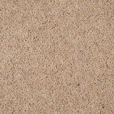 Fawn Riverside Twist 60oz Carpet