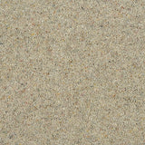 Flax Royal Windsor Charter Berber Deluxe Carpet by Abingdon