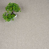 Frost Hidden Depths Love Story Carpet by Abingdon