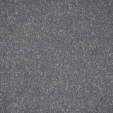 Frosted Steel 02 Pure Elegance Carpet by Abingdon