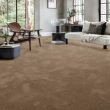 Fudge 39 Aries Invictus Carpet