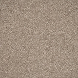 Fudge 39 Aries Invictus Carpet