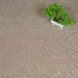 Fudge 39 Aries Invictus Carpet