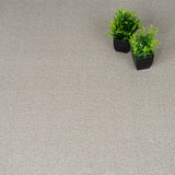 Gazelle 39 iSense Obsession Carpet