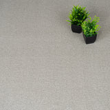 Gazelle 39 iSense Obsession Carpet