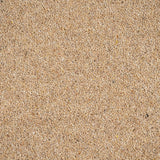 Goldcrest Woodland Heather 55oz Twist Deluxe Carpet by Cormar