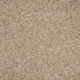 Golden Honey 35 Cassius 70oz Invictus Carpet