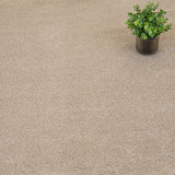 Golden Honey 35 Cassius 70oz Invictus Carpet