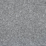 Grey 5925 Alabama Loop Carpet