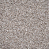 Grey Beige Tuscany Saxony Carpet 3.66m Wide Clearance