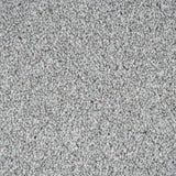 Greystone 16 Stainfree Rustique Saxony Carpet by Abingdon