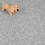 Greystone 16 Stainfree Rustique Saxony Carpet by Abingdon