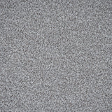 Greystone Stainfree Rustique Ultra Carpet by Abingdon
