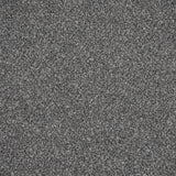 Gunmetal Stainfree Ultra Carpet by Abingdon