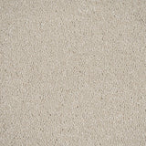 Hammock 33 Taurus Invictus Carpet