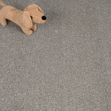 Harbour Hidden Depths Love Story Carpet by Abingdon