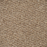 Harvest 14 Stainfree Tweed Carpet by Abingdon