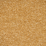 Harvest 350 Birma Saxony Carpet