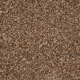 Harvest Festival 03 Stainfree Rustique Saxony Carpet by Abingdon