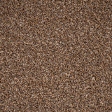 Harvest Festival Stainfree Rustique Ultra Carpet by Abingdon