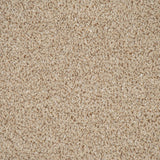 Honeycomb Twist Stainfree Knightsbridge Berber Carpet by Abingdon
