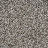Hopsack 13 Stainfree Rustique Saxony Carpet by Abingdon