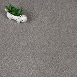 Hopsack Stainfree Rustique Ultra Carpet by Abingdon