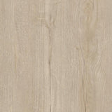 Horizon Oak Creme D41182 Exquisit 8mm Laminate Flooring by Kronotex