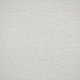 Ivory Regal Saxony Carpet