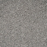 Kale 95 Cassius 70oz Invictus Carpet