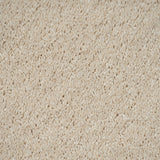 Latte 36 Orion 50oz Invictus Carpet