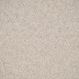 Latte 36 Sirius 70oz Invictus Carpet