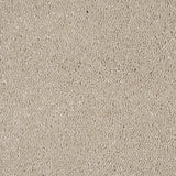 Latte Sensation Original 60oz Carpet by Cormar