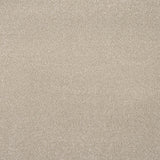 Latte Stainfree Caress Carpet by Abingdon