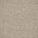 Latte Stainfree Caress Carpet by Abingdon