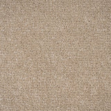 Light Beige Hartwell Saxony Carpet