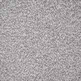 Light Greige Highgrove Elite Twist Carpet