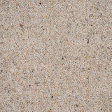 Limewood Natural Berber Twist Deluxe 55oz Carpet by Cormar