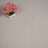 Linen Regal Saxony Carpet