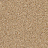 Macaroon Natural Berber Twist Deluxe 55oz Carpet by Cormar