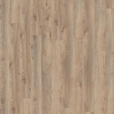 Macro Oak Beige D3669 Mammut 12mm Laminate Flooring by Kronotex