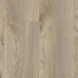 Macro Oak Beige D3669 Mammut 12mm Laminate Flooring by Kronotex