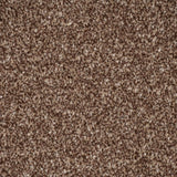 Mahogany Apollo Plus Carpet by Cormar