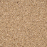 Maize Hampstead Deluxe 50oz Carpet by Cormar