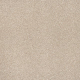 Marshmallow Trinity Carpet by Cormar