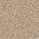 Medlar Natural Berber Twist Deluxe 55oz Carpet by Cormar